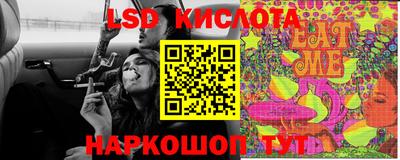 стафф Краснознаменск