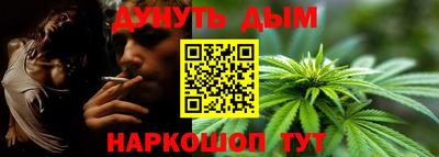 стафф Краснознаменск