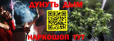 дмт Краснодар